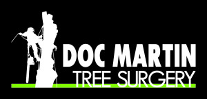 doc martin logo 
